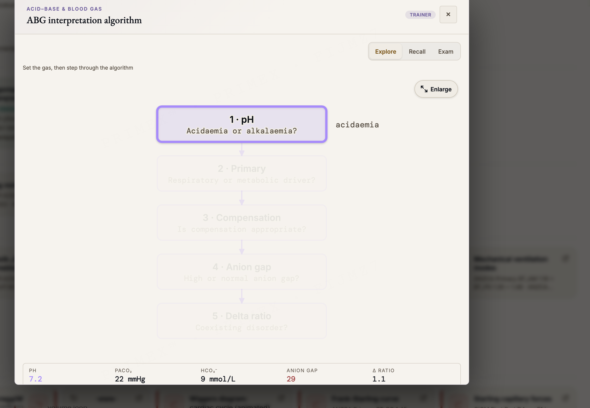 CICM Second Part Paediatric interactive diagram: a paediatric ICU trainer with Explore, Recall and Exam modes