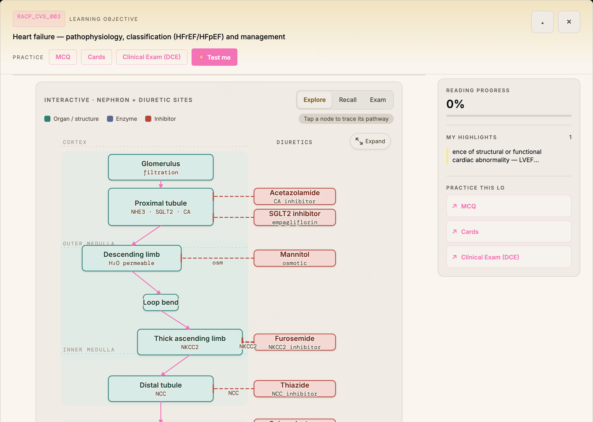 RACP BPT study note: a heart failure learning objective with an embedded interactive nephron and diuretic-sites diagram