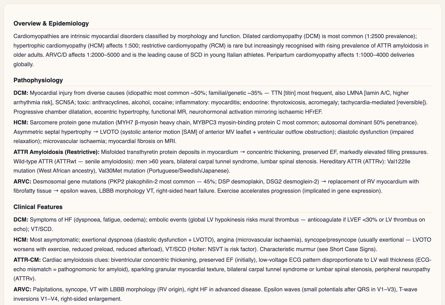 FRACP DCE study note; Cardiomyopathies covering DCM, HCM, ATTR amyloidosis and ARVC with pathophysiology